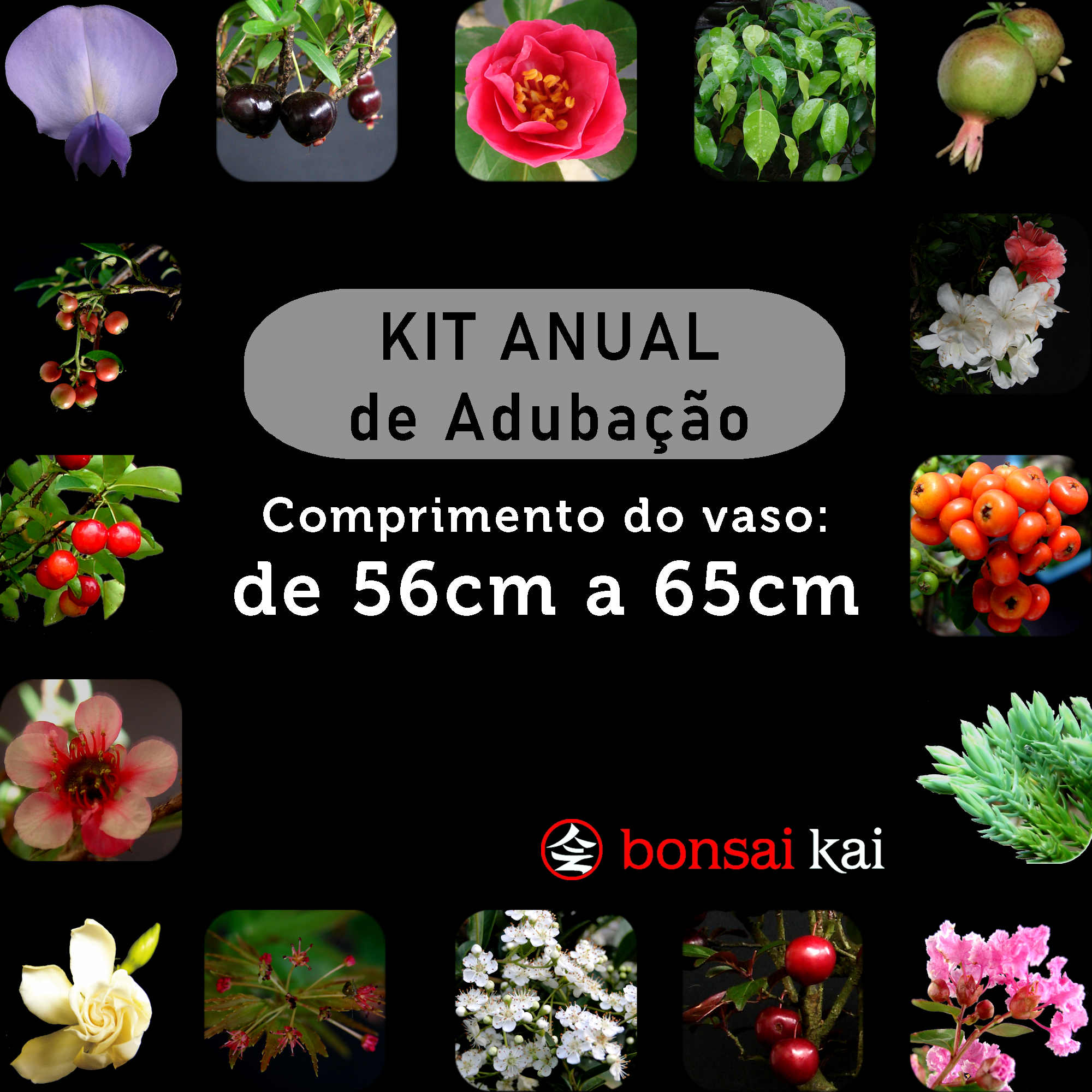 Kit Anual de Adubacao - Vasos 56cm a 65cm
